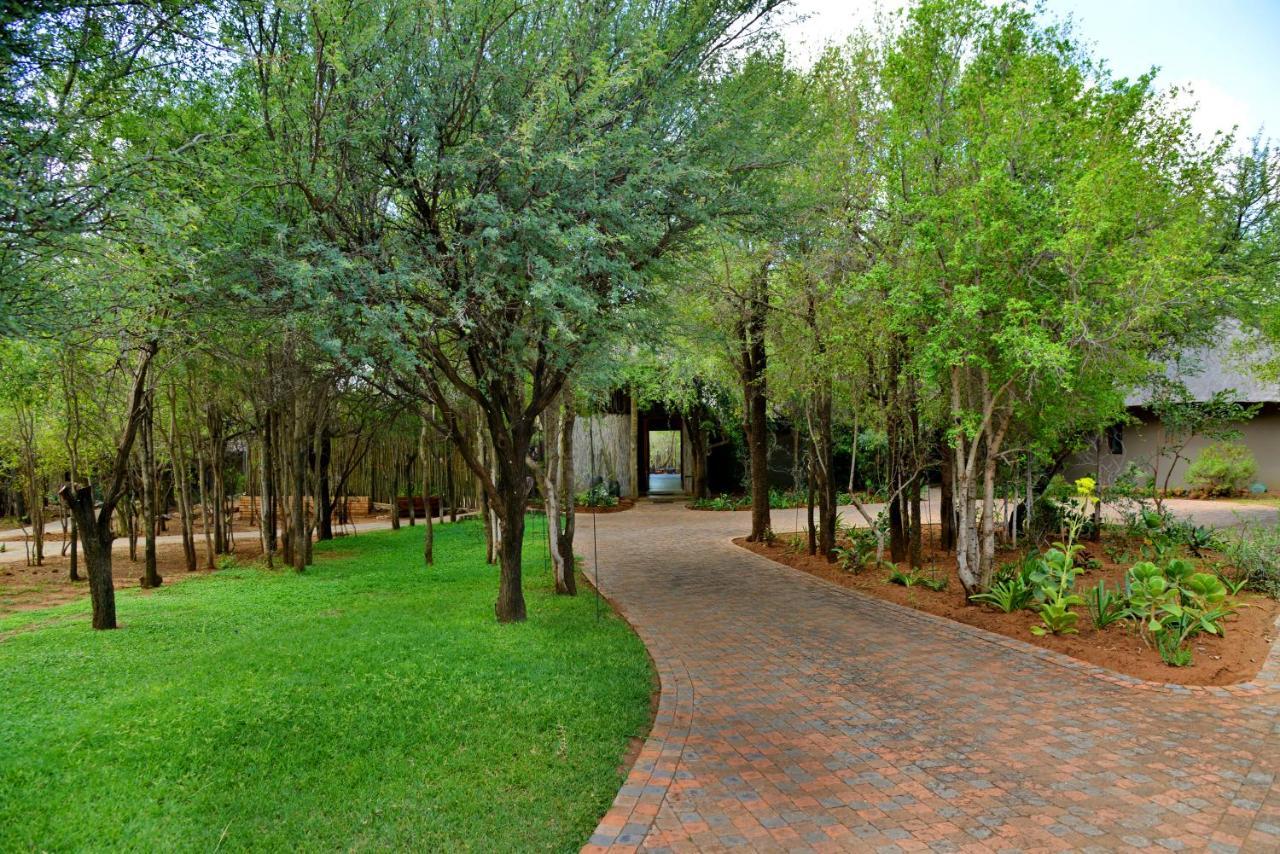 Tambuti Lodge Pilanesberg Exterior foto